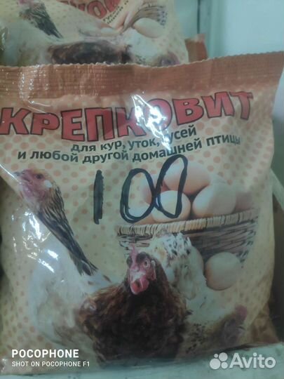 Здравур несушка,крепковит, Борька