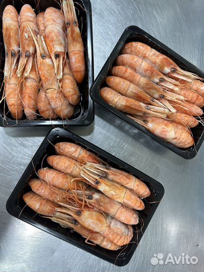 Креветка Ботан 0,5кг 15/25