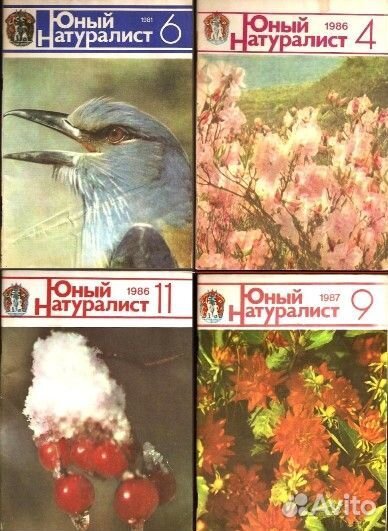 Журналы СССР 1981 - 1890 гг