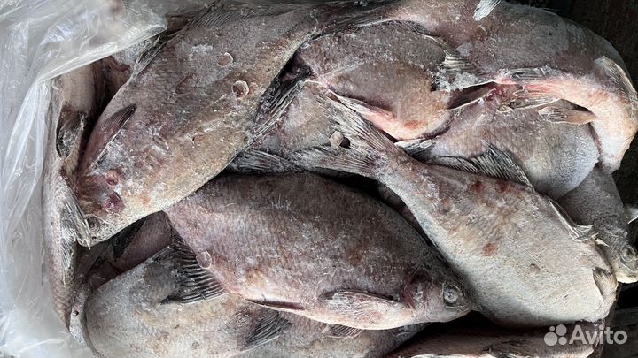 Продукты питания оптом