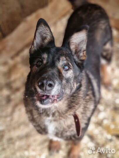 Вся жизнь - сплошная боль