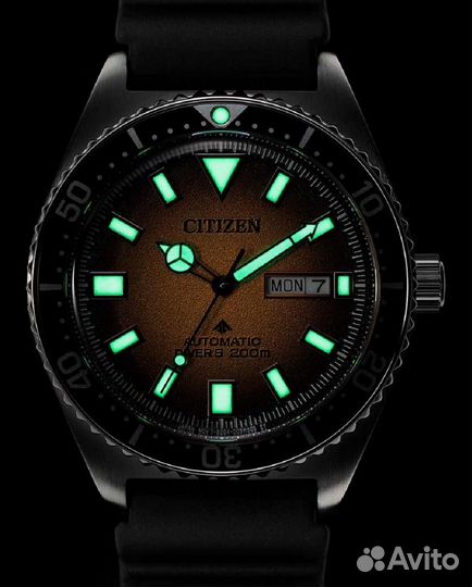 Мужские наручные часы Citizen Promaster NY0120-01X