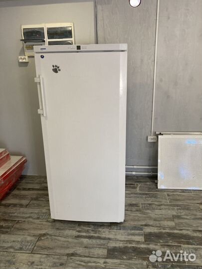 Морозильная камера liebherr бу