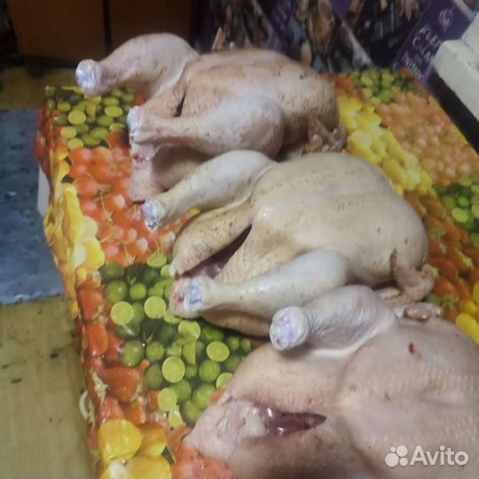 Тушка бройлера