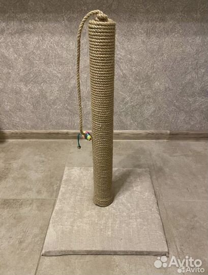 Когтеточка