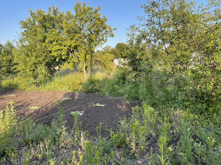 Дача 10 м² на участке 6 сот.