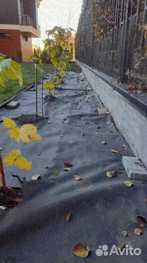 Укладка и продажа газона стандарт