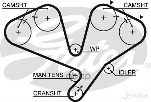 Ремень грм 5442XS Gates