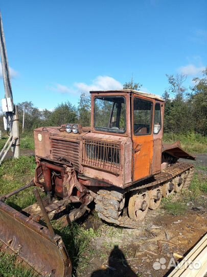 Трактор трелевочный тдт 55а