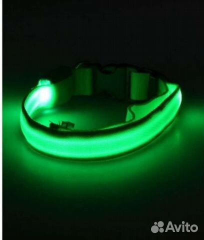Светящийся ошейник
