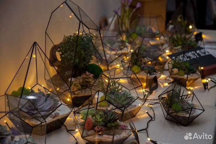 Подарок на 1 сентября. Флорариум учителю