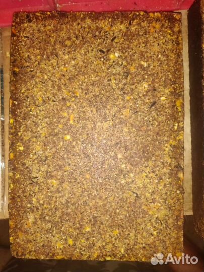 Жмых для рыбалки крепкий на сазана