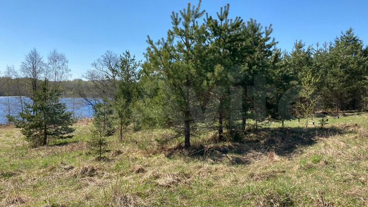 Участок 1,64 га (ИЖС)