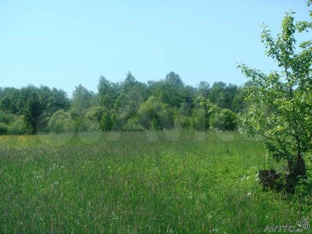 Участок 36 сот. (ИЖС)