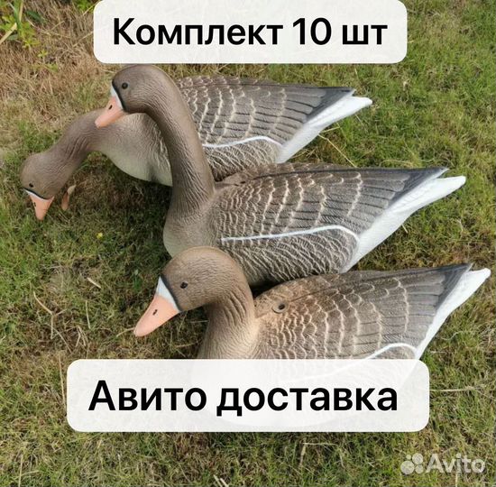 Гуси новые чучела