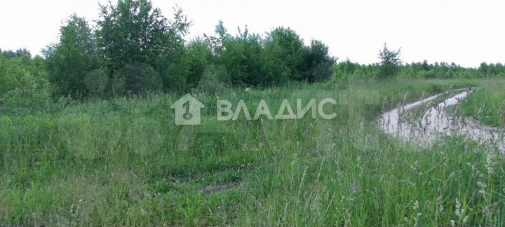 Участок 11,3 сот. (ИЖС)