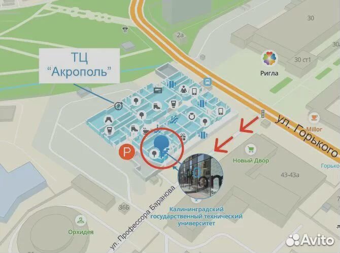 Наушники Apple AirPods Max Pink