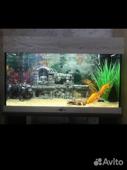 Аквариум