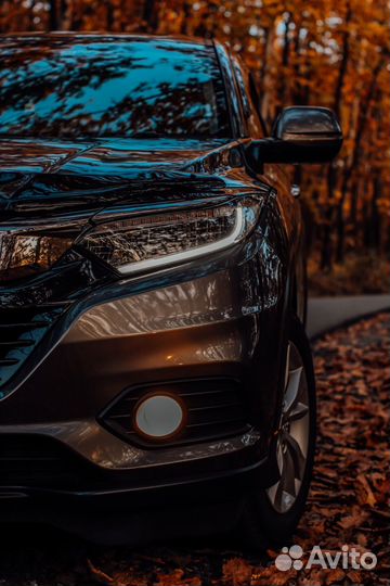 Фотограф, фотосессия