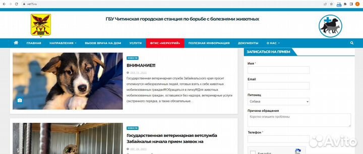 Разработка и ведение сайтов