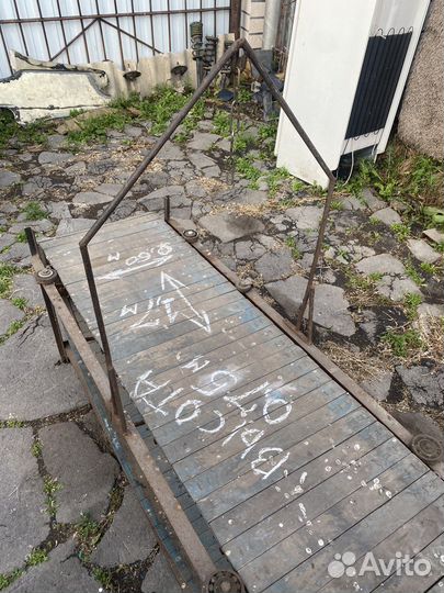 Беговая дорожка для собак