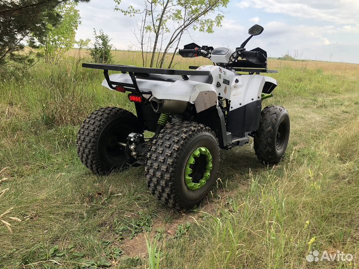 Avantis Hunter 200 New LUX