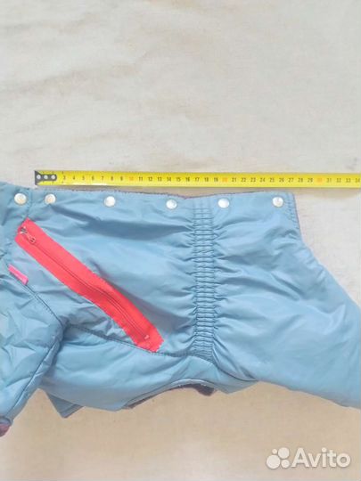 Одежда для собак мелких пород