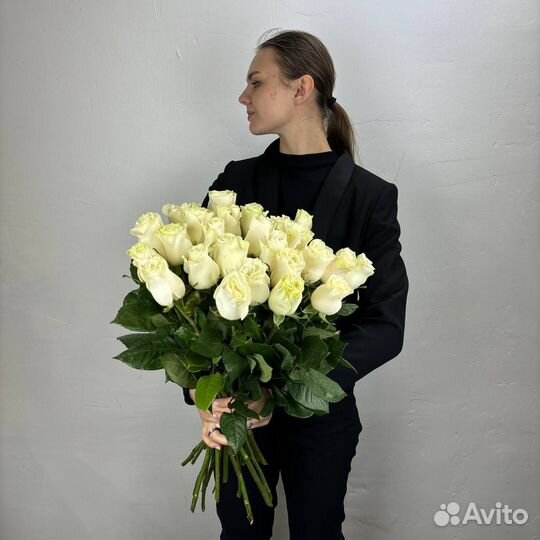 Розы сорта Мондиал