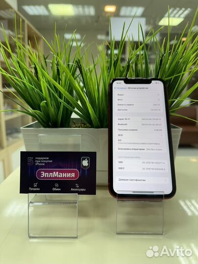 iPhone 11, 256 ГБ
