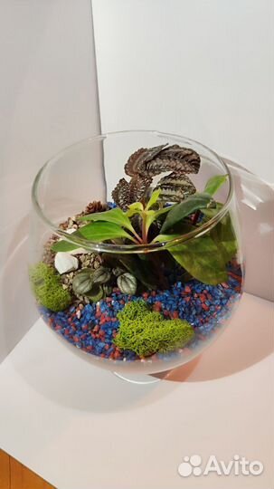 Флорариум