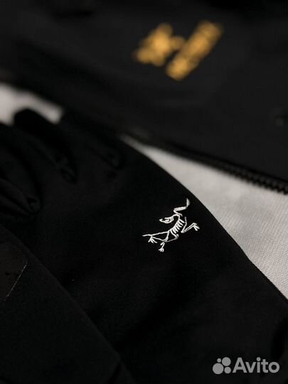 Перчатки Arcteryx Delta Glove Gore-Tex