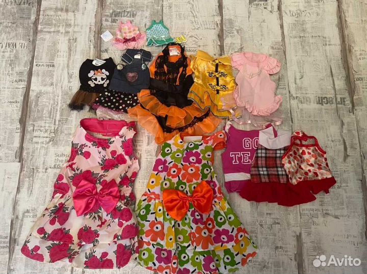 Одежда для собак