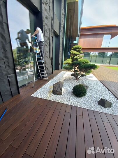 Мойка окон, балконов, перегородок, химчистка