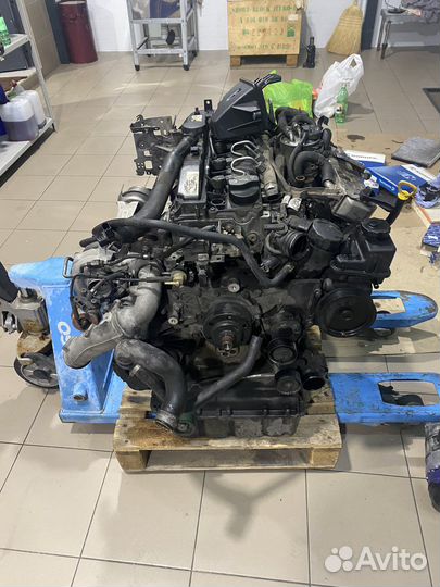 Дизельный двигатель Мерседес Спринтер 651