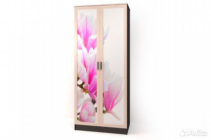 Шкаф двухстворчатый 