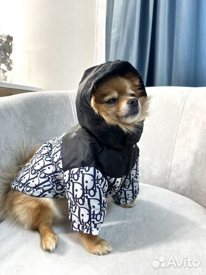 Одежда для собак куртка Dior S-XXL в наличии