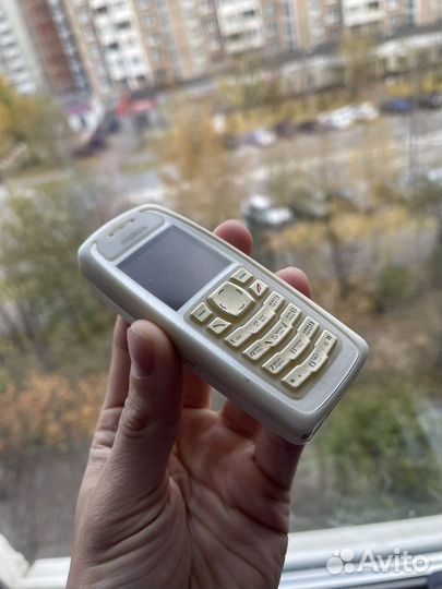 Nokia 3100