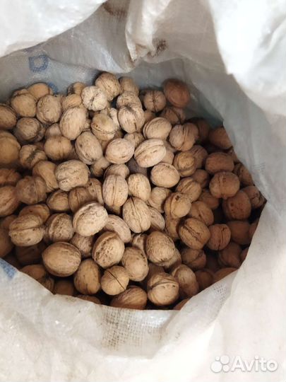 Грецкий орех 80 р