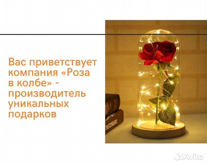 Роза в колбе. Высокое качество