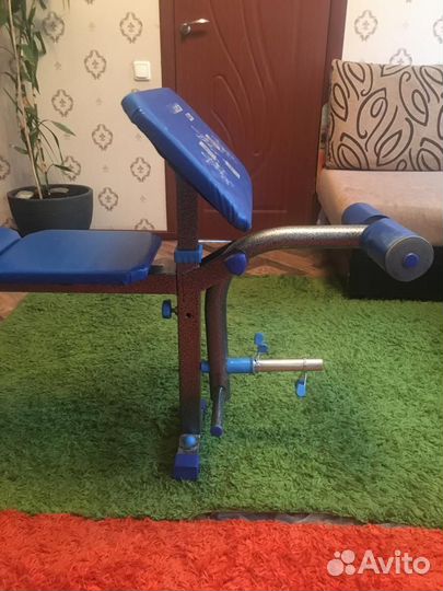 Спорт