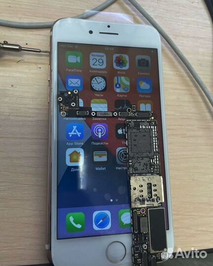 Частный мастер по ремонту iPhone, iPad, Apple