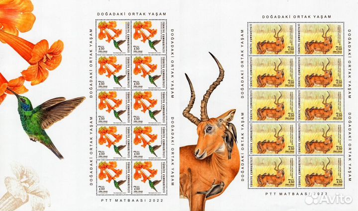 А16 Турция 2022. Фауна 2 марки