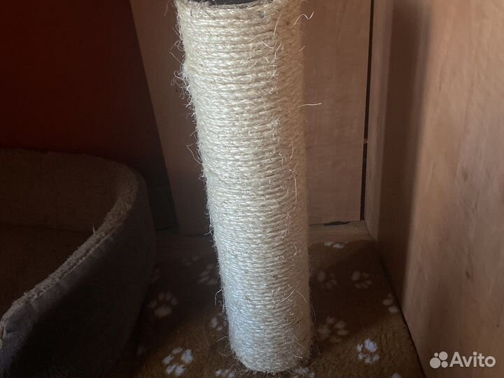 Когтеточка для кошек бу