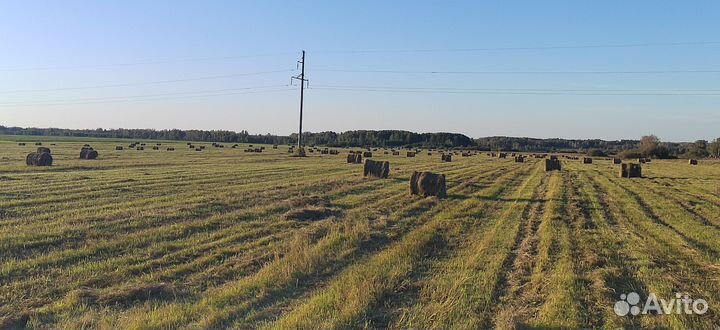 Сено в рулонах 2024
