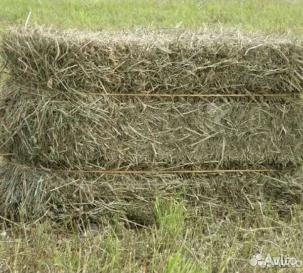 Сено в брикетах