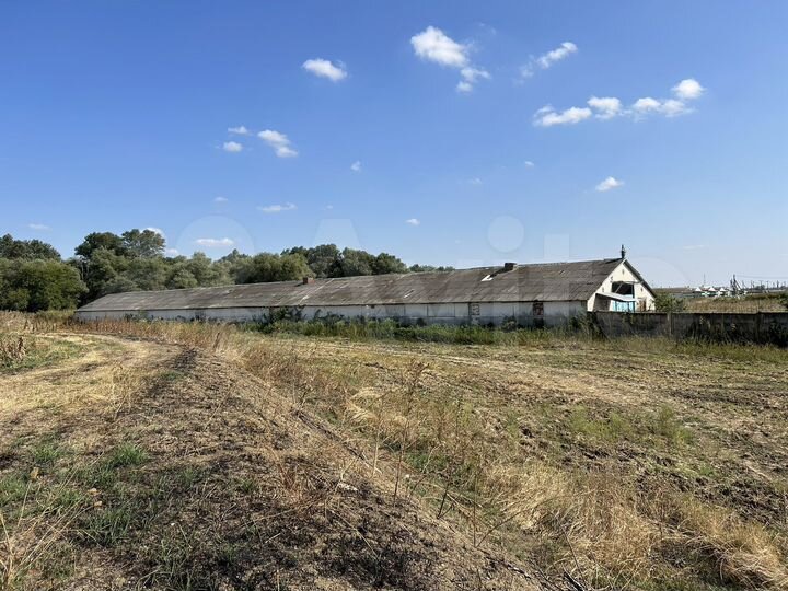 Участок 130 га (СНТ, ДНП)