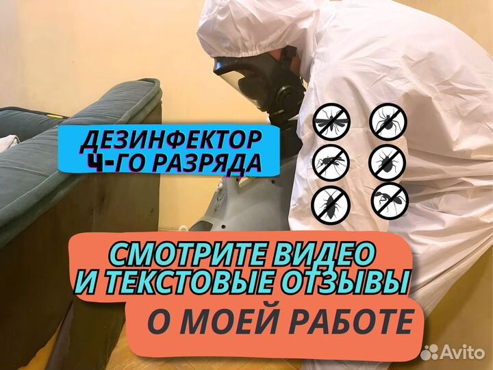 Уничтожение плесени, тараканов, блох. Дезинфекция