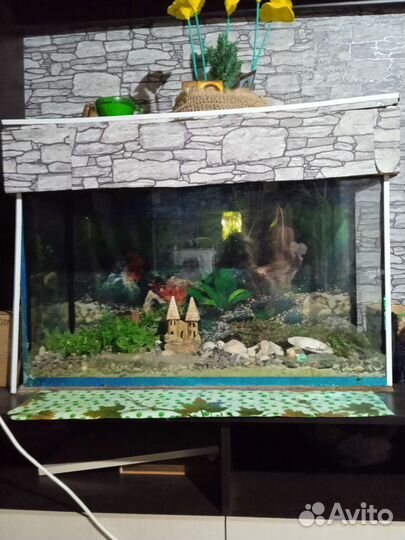 Аквариум