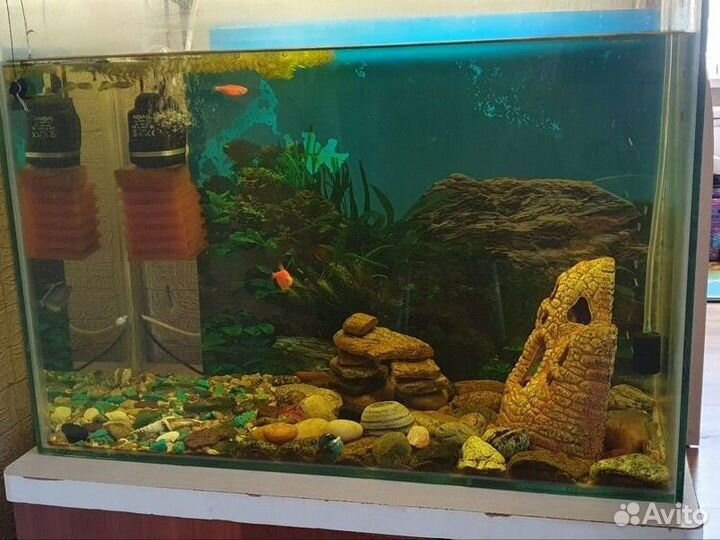 Аквариум с рыбками