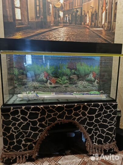 Аквариум с тумбой 250